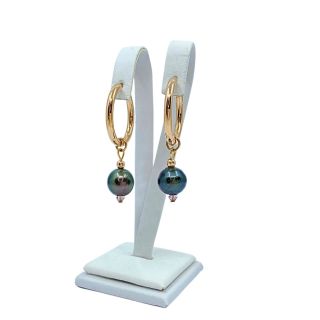 ✨ DALŠÍ NAŠE NOVINKA! ✨ Elegance, exotika a špetka slunce z Polynésie – přesně to najdete v těchto úchvatných náušnicích s...